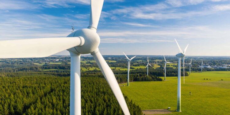 Re-bidding of wind projects tariffs under consideration