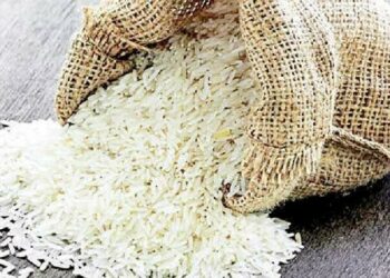 Govt assures full support to rice exporters