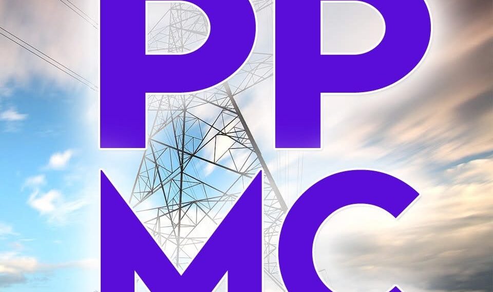 PPMC directs Discos to reduce losses