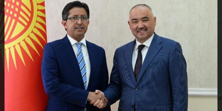 Islamabad, Bishkek discuss ways and means to enhance cooperation