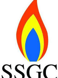 Did Petroleum Division betray SIFC mandate on NSCL gas pact?