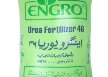 Govt to review provincial data before allowing urea export