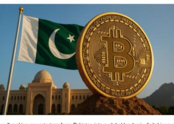Govt allocates 2,000 MW electricity in first phase for Bitcoin Mining and AI data centers