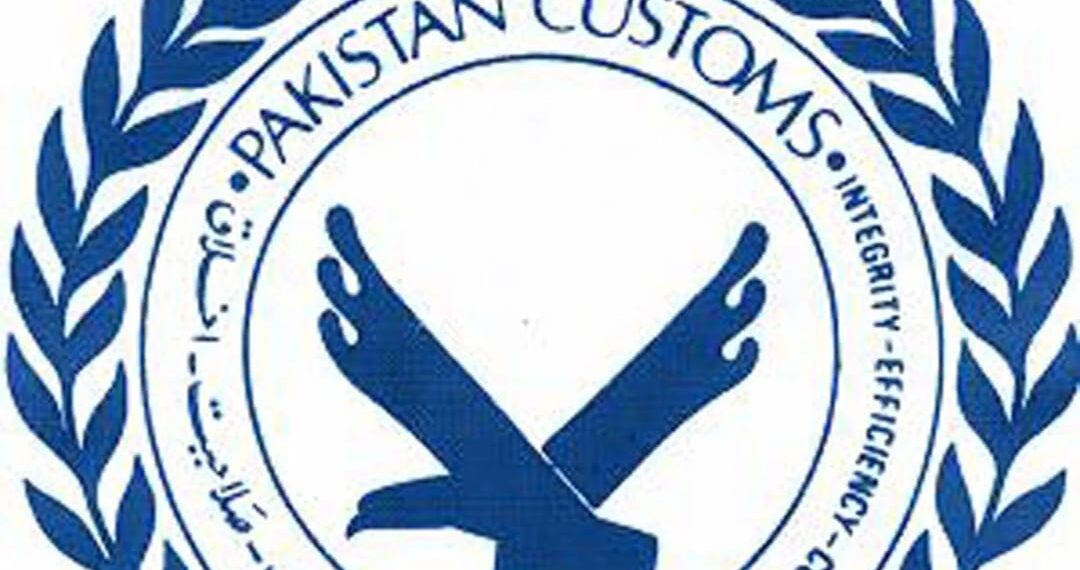 Deputy Collector accuses Customs Enforcement of overreach in Donkey Hide export case