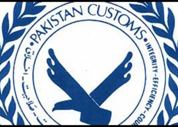 Deputy Collector accuses Customs Enforcement of overreach in Donkey Hide export case