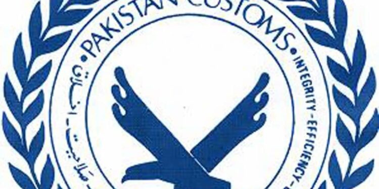 Deputy Collector accuses Customs Enforcement of overreach in Donkey Hide export case