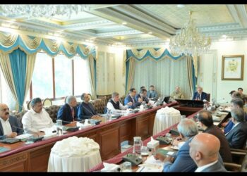 Govt under fire for ignoring KE’s least cost  renewable energy projects in energy blueprint 2025-35