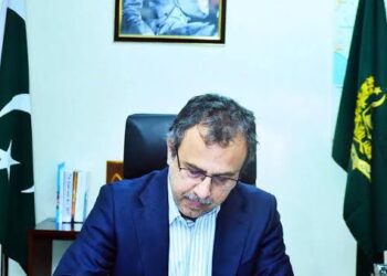 Power Minister Directs Uninterrupted Electricity During Moharram