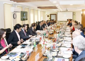 Pakistan highlights $3  billion power sector investment potential in high level diplomatic briefing