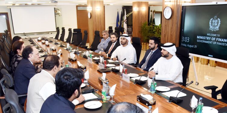 UAE delegation meets Finance Minister