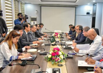 Leghari discusses power sector reforms, green financing with ADB delegation