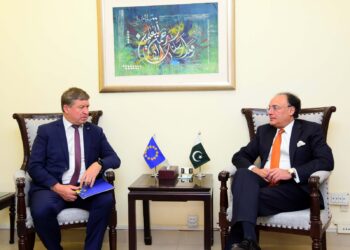 New EU envoy calls on Finance Minister