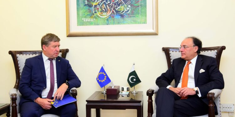 New EU envoy calls on Finance Minister