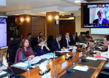 ECC approves commercial import of five years old used vehicles