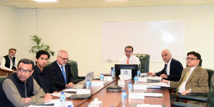 PC Board approves consortium led by Raiffeisen as FA for privatisation of HESCO and SEPCO