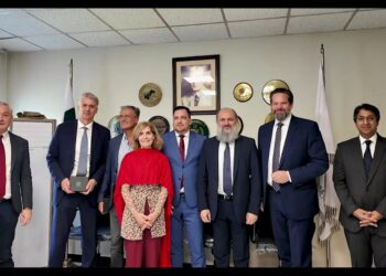 Pakistan raises trade concerns with EU over Ethanol duty withdrawal, Basmati rice GI issue