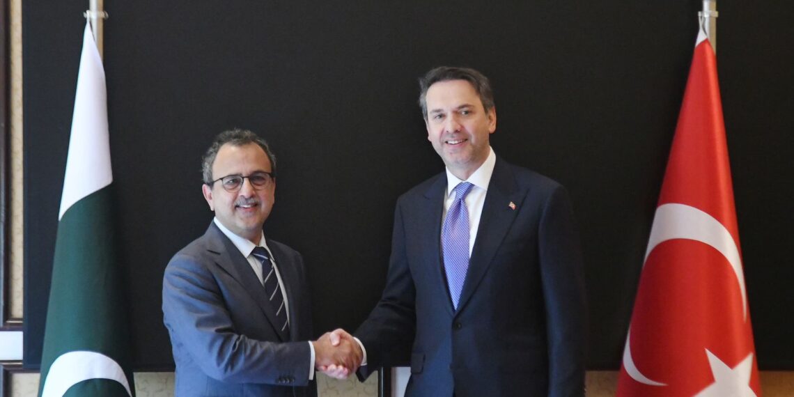 Islamabad seeks Turkiye’s reputable firms partipation in DISCOs privatisation process