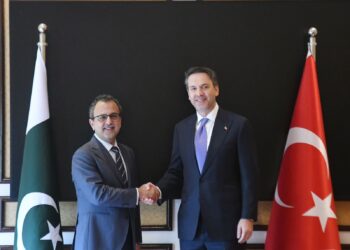 Islamabad seeks Turkiye’s reputable firms partipation in DISCOs privatisation process