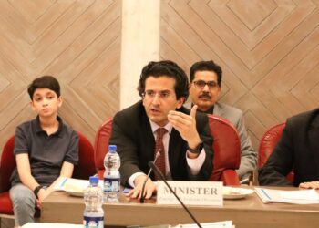 No increase in gas price: Ali Pervaiz Malik