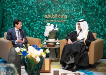 Ali Pervaiz Malik highlights Pakistan’s mineral potential at FMF