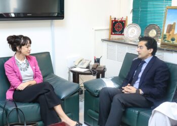 Islamabad invites Swedish firms expand mining footprint beyond Reko Diq in upcoming PMIF