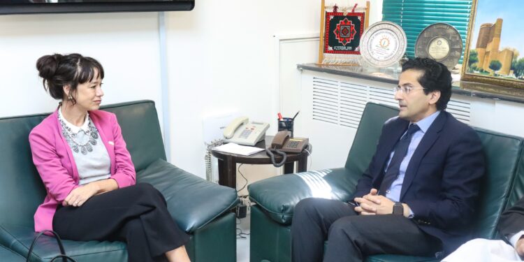 Islamabad invites Swedish firms expand mining footprint beyond Reko Diq in upcoming PMIF