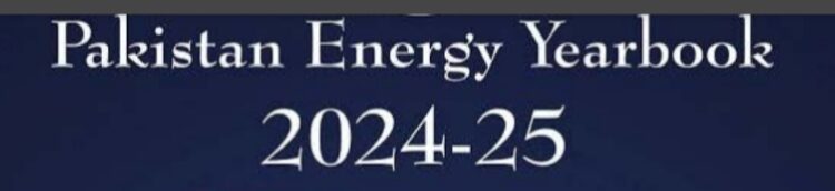 Pakistan’s energy shift deepens as imports rise, domestic output falls