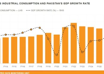 KE’s industrial consumption hits record high in FY 26
